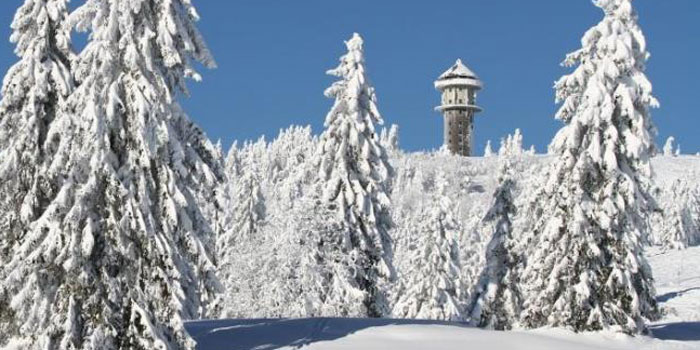 Winterlandschaft im Naturschutzgebiet Feldberg